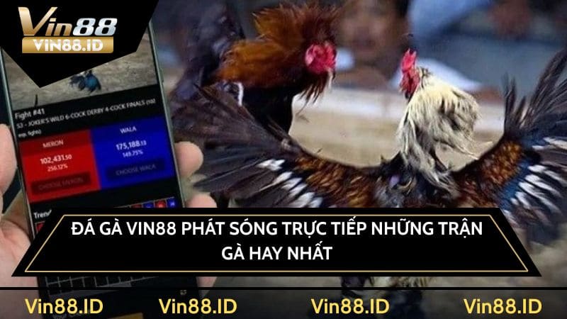 Đá gà VIN88